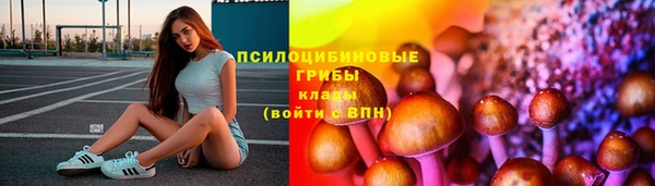 стафф Беломорск