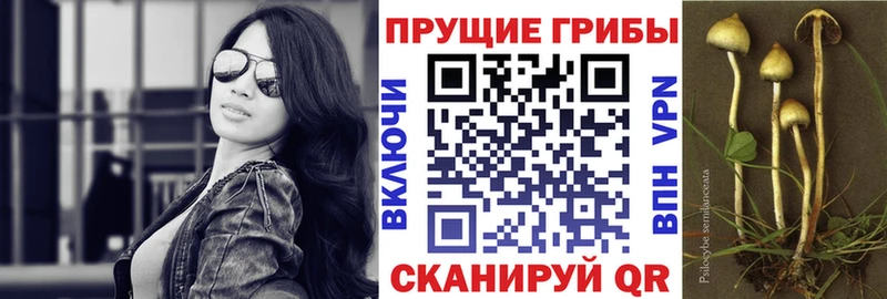 Псилоцибиновые грибы GOLDEN TEACHER  Новомосковск 